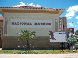 National Museum Bloemfontein | Natural history, cultural history and art