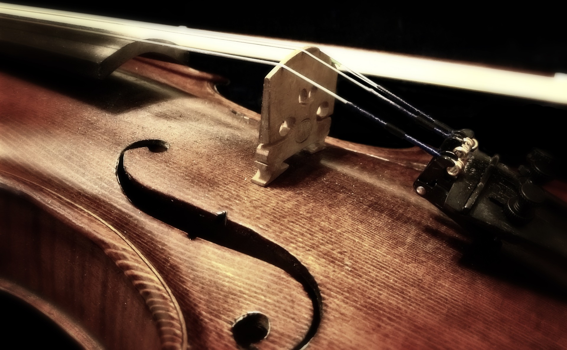 The Violin Expo by Svend's Violin and Svencino