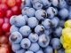Free State Wine Show