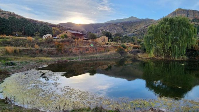 Old Mill Drift 27km from Clarens in the Golden Gate area. Pet-friendly, family-friendly, hiking, trail running